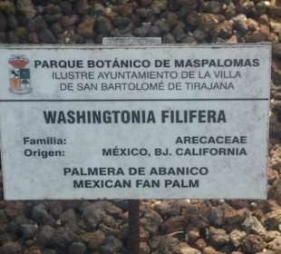 Im Parque de Botanico (Innenbereich)