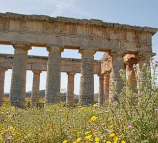 Segesta