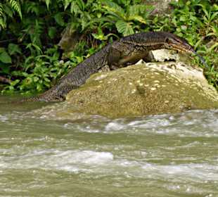 Huch, was hier nicht so alles im Wasser ist