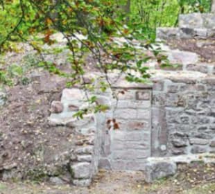 Ruine Schlossberg Altensteig