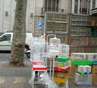La rambla