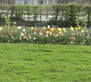 Bürgerpark Offenburg