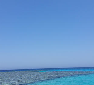 Sahl Hashees Schnorcheln