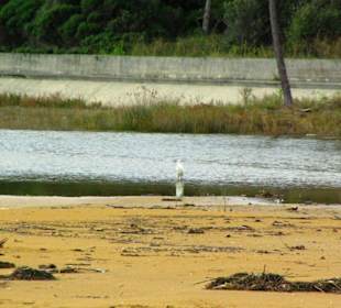 Ende September 2010 Inspirationen