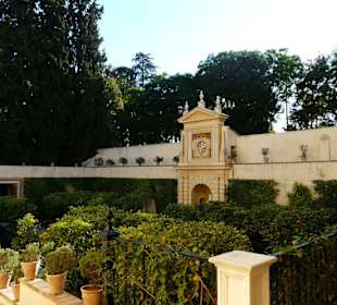 Dettaglio del giardino