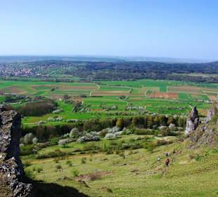 Oben am Walberla Südseite