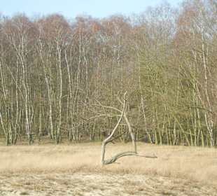Wunderschöne Boberger Niederung