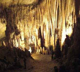 Höhle del Drach