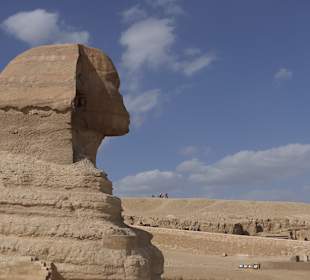 Sphinx von Gizeh
