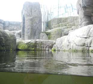 Tierpark Hagenbeck
