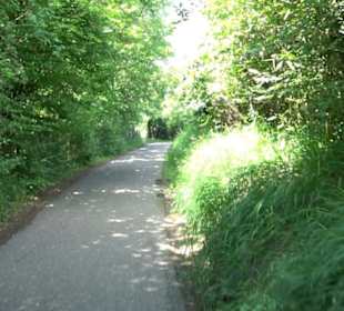 HAP Grieshaber Rundweg