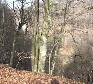 Premiumwanderweg Hohenwittlingensteig