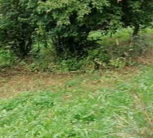 Schaugarten Eninger Weide