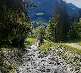 Wandern Donnersbachwald