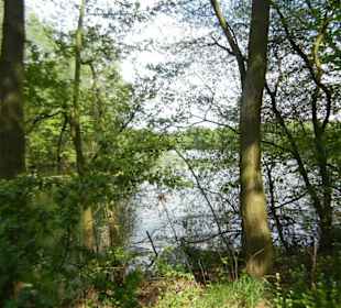 Naturschutzgebiet Boberger Niederung