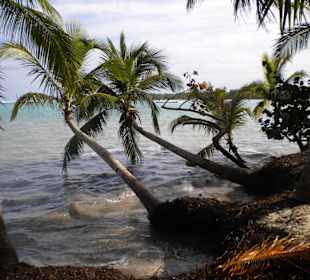 Rechts vom Hotelstrand (Hotel IFA Bavaro Village)
