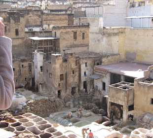 Ohne Pfefferminzzweig Geruch nicht auszuhalten/Fes