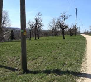 Premiumwanderweg "hochgeblickt"