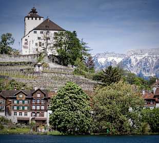Schloss und Städtchen Werdenberg  © Daniel Ammann