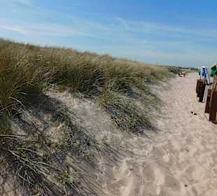 Strand