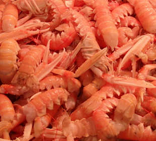 Englischer Markt Cork