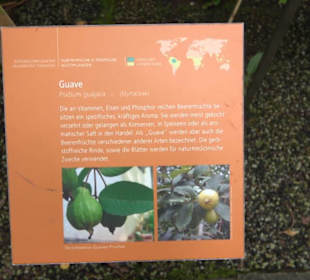 Tropicarium