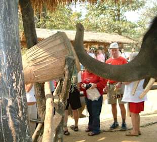 Alarm in Elefanten - Camps