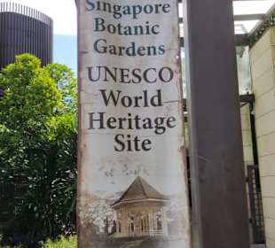 Botanischer Garten Singapur