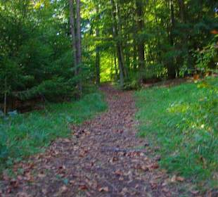 Wanderung zum Signalstein Fränk.Schweiz