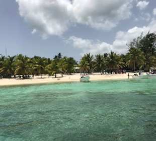 Saona