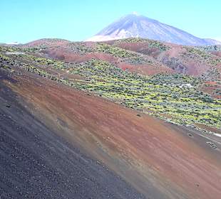 Teide Nationalpark