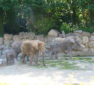 Zoo Schönbrunn