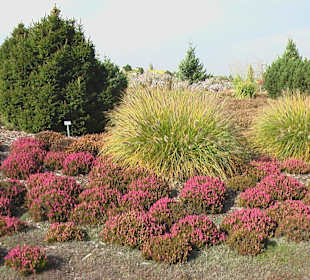 Findlingspark Nochten