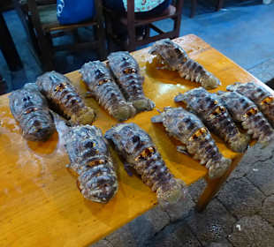 Hier kann man sich sein Abendbrot aussuchen