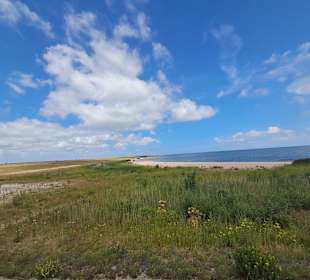 Stadtrundgang Lelystad in Lelystad