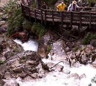 Steg in der Klamm