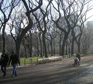 Central Park