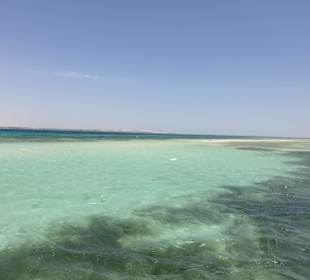 Karibikfeeling Tour / Sandbank 