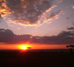 Sonnenuntergang in der Savanne