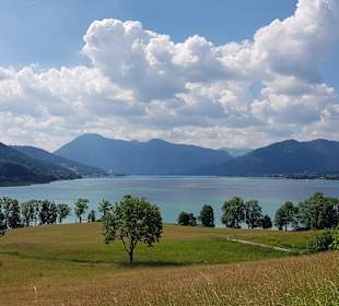 Der Tegernsee