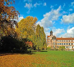 Парк Замка Ойтин.Золотая осень.