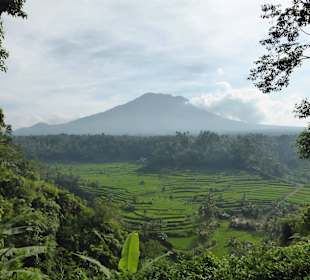 Mt. Agung