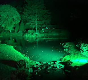 Mondo Verde Halloween