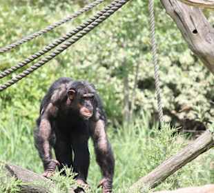 ZOOM Erlebniswelt Gelsenkirchen