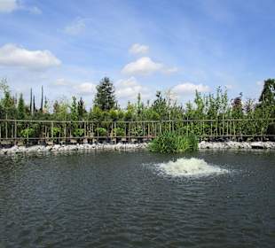 Peterhof-Pflanzen in Hanhofen