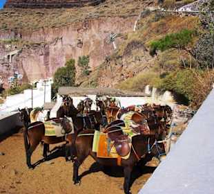 11.Tag Santorin Eselstation