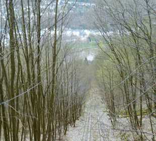 Schienen ehemaliger Bergbahn