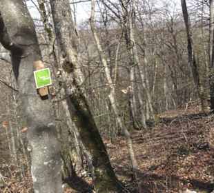 Wanderweg Hochgehkämpft