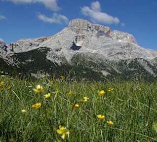 Plätzwiese - Prato Piazza