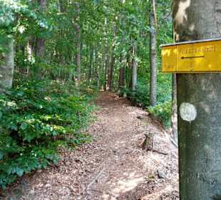 Pälzer Weltachs in Waldleiningen